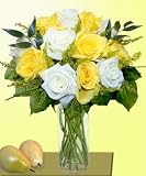 12 Yellow & White Designer Long Stem Roses