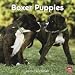 Boxer Puppies 2010 Standard Wall Calendar. Publisher: Browntrout