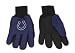 Indianapolis Colts Two-Tone Gloves