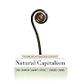 Natural Capitalism