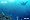 Endless Ocean: Dive, Discover, Dream