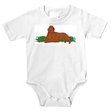 Onesie with dog, setter, irish, canine