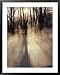 Beautiful Sunlight Streaming Through Mist and Forest Framed Art Poster Print, 31x39