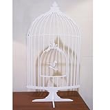 yDI CLASSEzBird@Mobiler[(X^h) /MO2051zCg