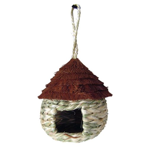 Palm Roof Bird Hut