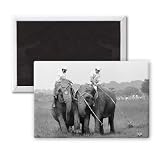 British Elephant Polo Championships July.. - 3x2 inch Fridge Magnet - large magnetic button - Magnet