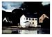 Mill Pond by McNeely , 28x20