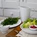 Emeril from Wedgwood Emeril's Chef's White Collection Chef's White Pitcher 60-oz.