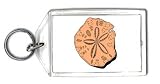 Keychain with front, sand, dollar