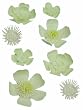 Martha Stewart Crafts Stickers, White Flowers