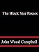The Black Star Passes (Kindle Edition)