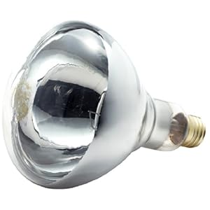 Phillips 416743 Heat Lamp 250-Watt BR40 Clear Flood Light Bulb