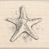 Inkadinkado Rubber Stamp Starfish 41bKGZ5lTRL. SL160 Inkadinkado Rubber Stamp Starfish