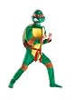 Kids Deluxe Muscle Raphael Costume - Child Small