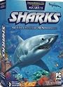 Sharks 2: Virtual Aquarium