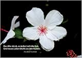 Wunderschöne Blumen Grußkarte: Das Alte stürzt, es ändert sich die Zeit, Und neues Leben blüht aus den Ruinen.