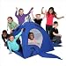 Bazoongi Kids Wiki Whale Play Structure