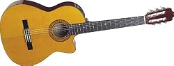 Takamine G Series EG124C Acoustic Electric Classical Guitar