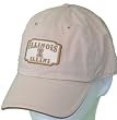 Men`s University of Illinois Khaki Stub Cap