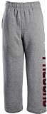 Atlanta Falcons Youth Fleece Sweatpant - Large (14-16)