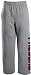 Atlanta Falcons Youth Fleece Sweatpant - Large (14-16)
