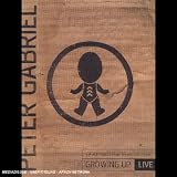 Peter Gabriel - Growing Up