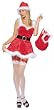 Adult Miss L. Toe Santa Helper Costume - Womens Large