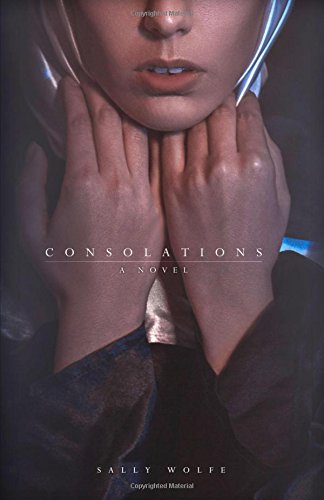 consolations a novel
