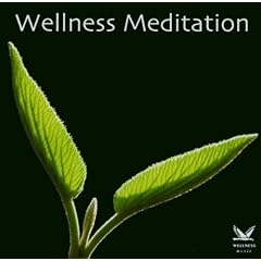 Wellness Meditation