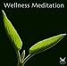 Wellness Meditation
