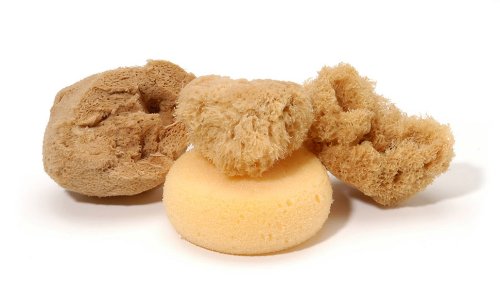 Buy YP100600,100x600cm,Aluminum Brackets with PC Board Awnings,Window ... ... To Build A Chicken Pen With Chicken Wire Chicken Coop Wire At Lowes