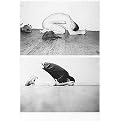 Wolfgang Tillmans (Hardcover)