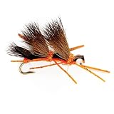 Cartoon Salmon Fly