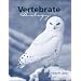 Vertebrate Biology