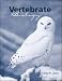 Price Comparison : Vertebrate Biology