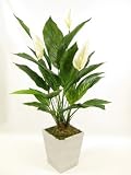 41bM3Wc7MmL. SL160  68cm Potted Artificial Silk Cream Peace Lily (Spathiphyllum) Plant ~ House Plant in a Modern Stylish Pot ~ Office & Home Decoration