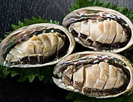 天草特産　活きアワビ　1,000g　送料無料！