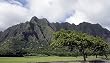 Oahu Park and Mountains, Hawaii Photograph - Beautiful 16"x20" Photographic Print by Carol M. Highsmith