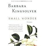 small wonder essays