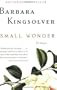 Small Wonder - Essays