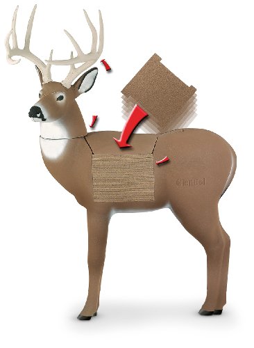 Childrens Toyshop  Sporting Goods : Glen Del® 3 - D Buck Target