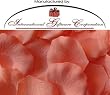 200 Silk Rose Petals Wedding Favors - Solid Colors - Peach