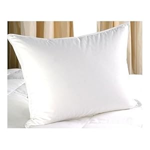 Bedding Pacific Coast Feather Touch Of Down Pillow In A Pillow