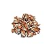 SweetGourmet Arcor Coffee Filled Candy 2 Lb