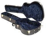 Wechter Guitars Deluxe Pathmaker Case (Deluxe Case for Pathmaker)