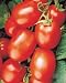 Health Kick Tomato 20 Seeds