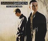 Animal Song [CD 2]