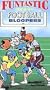Funtastic Football Bloopers [VHS]
