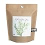 Gardens-in-a-Bag - Dill