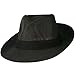 Jeanne Simmons Men's Large Brim Fedora Hat